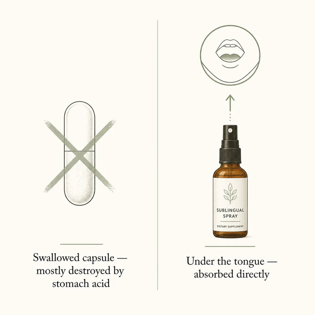 Comparison of a swallowed capsule destroyed by stomach acid versus a sublingual spray absorbed under the tongue