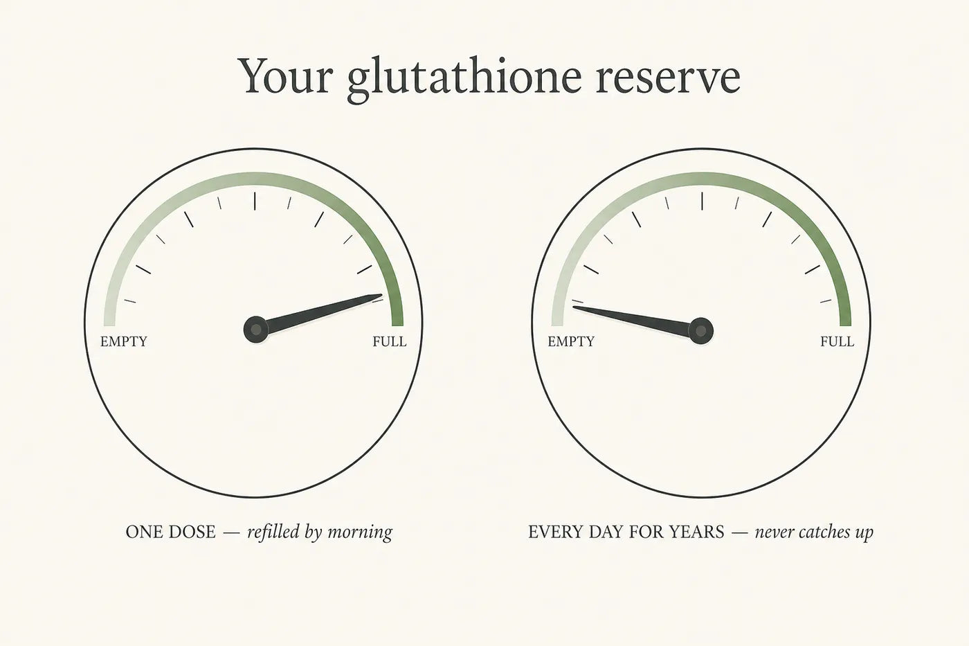 Two gauges showing a glutathione reserve refilling after one dose versus running low after years of daily use